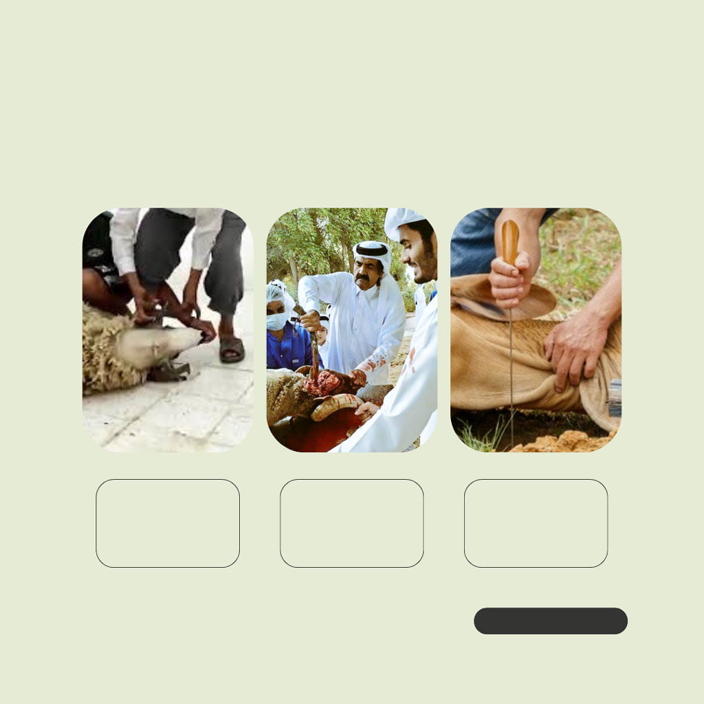 تصميم اعلان ذبايح